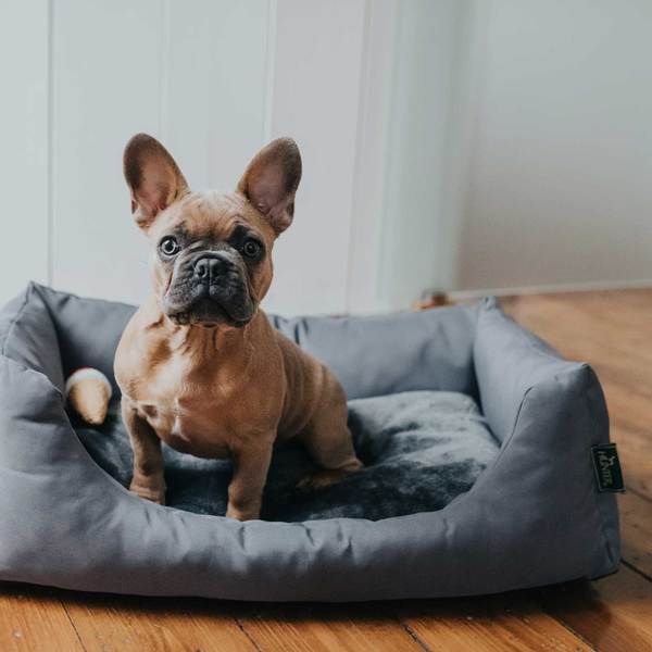 HUNTER kussens, manden en matrassen voor honden