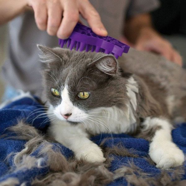 HUNTER verzorgingsuitrusting voor katten