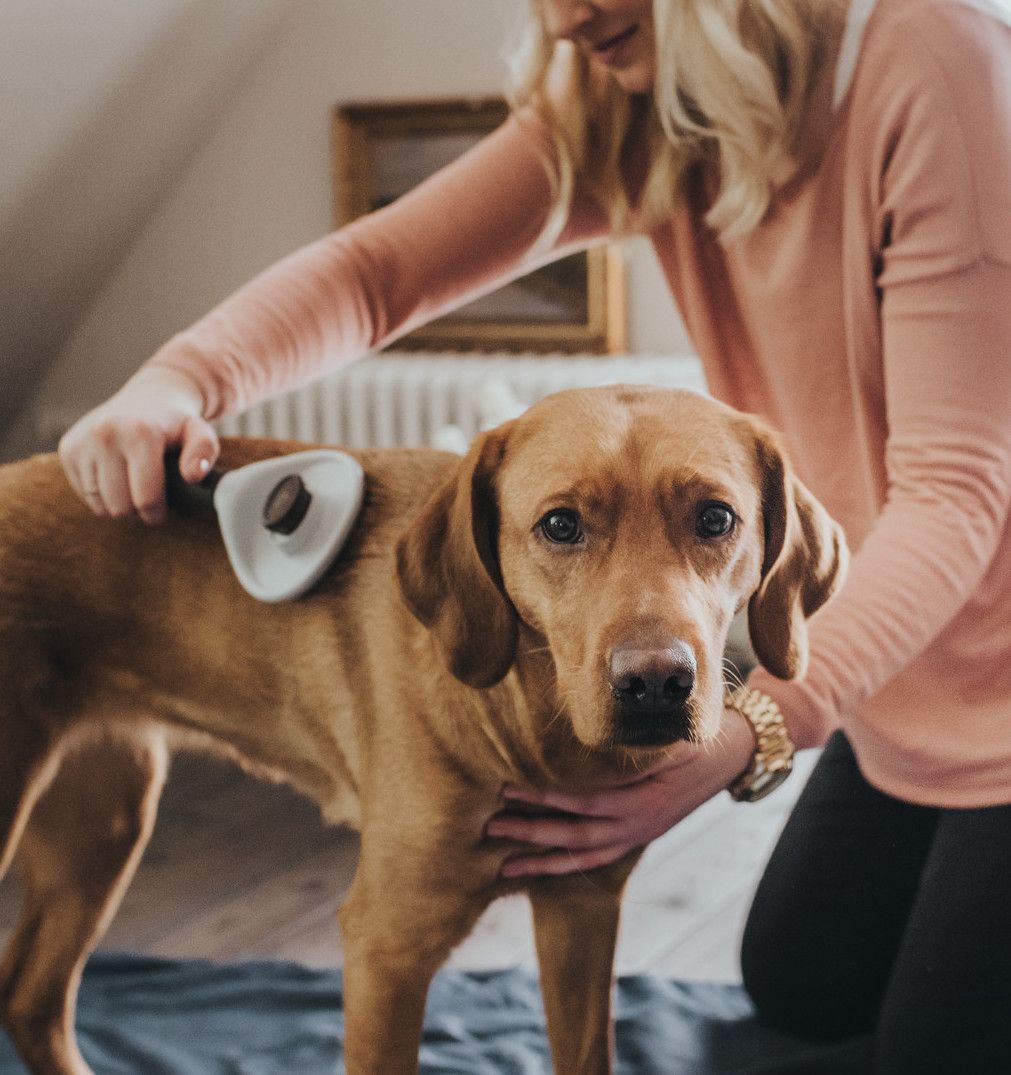HUNTER verzorgings- en hygiëneproducten voor honden